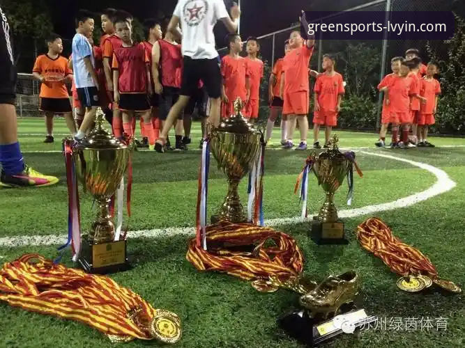 3步搞定绿茵体育最新地址，林悦亲测有效的实战指南